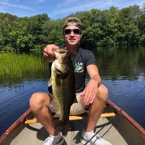 Meet your Posher, Harry